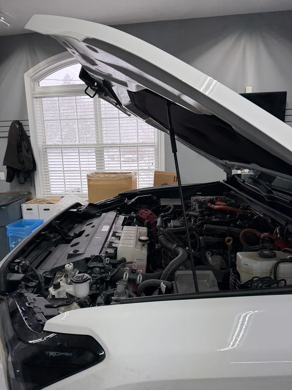 2024 Tacoma What did you do TO / WITH your 4th gen Tacoma today?! 👨‍🏭 🧰 📸 IMG_0622