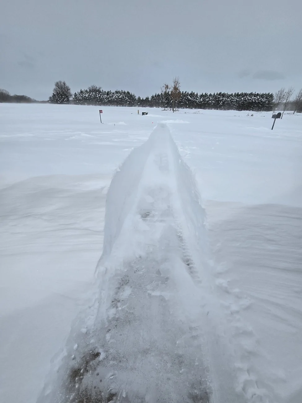 2024 Tacoma What did you do TO / WITH your 4th gen Tacoma today?! 👨‍🏭 🧰 📸 afbf0832-4d26-4789-ae6b-8b565a787e95