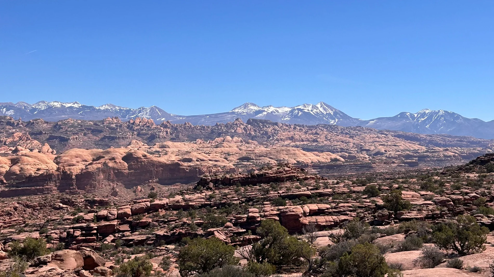 2024 Tacoma What did you do TO / WITH your 4th gen Tacoma today?! 👨‍🏭 🧰 📸 IMG_3952