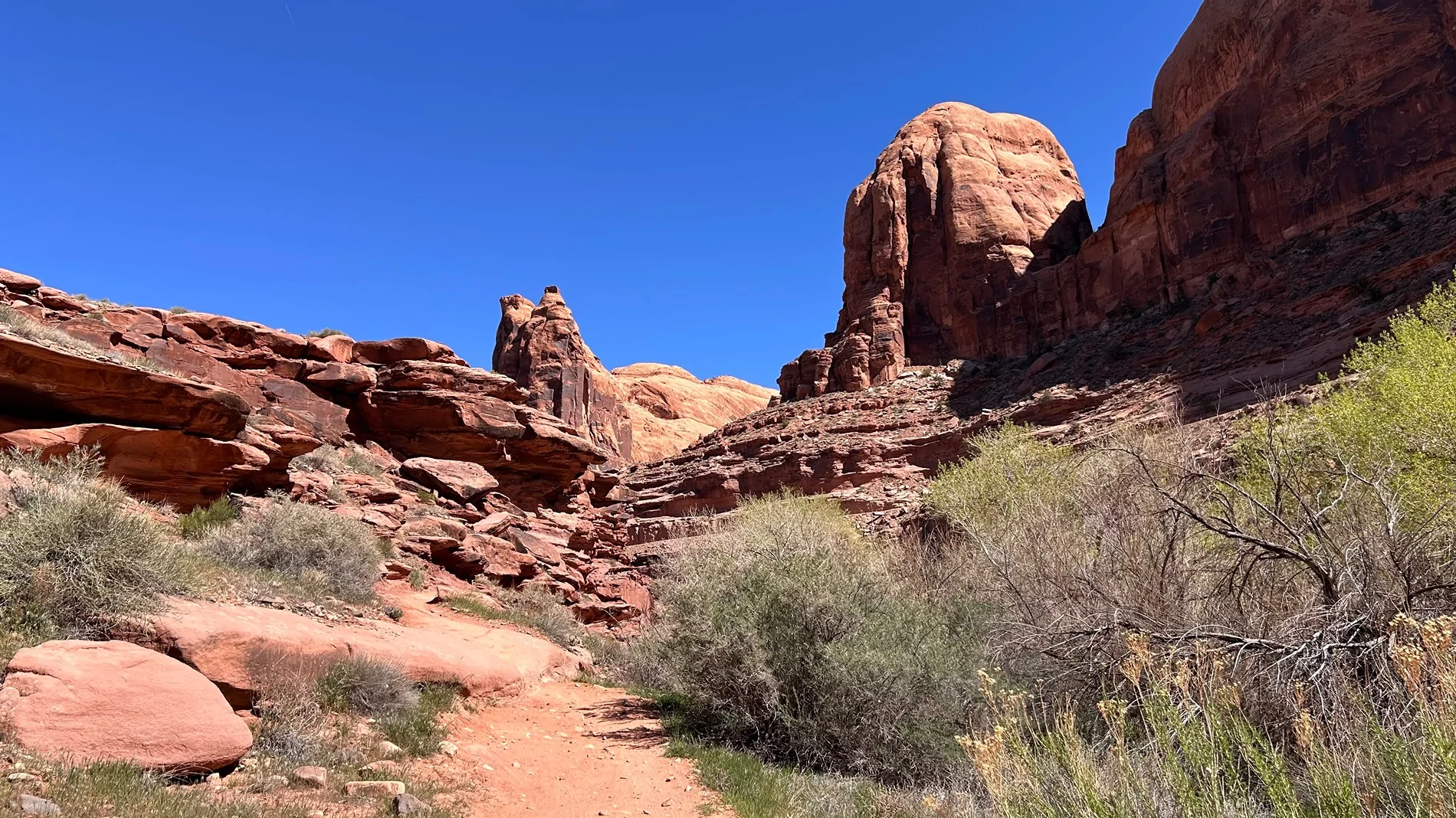 2024 Tacoma What did you do TO / WITH your 4th gen Tacoma today?! 👨‍🏭 🧰 📸 IMG_4009