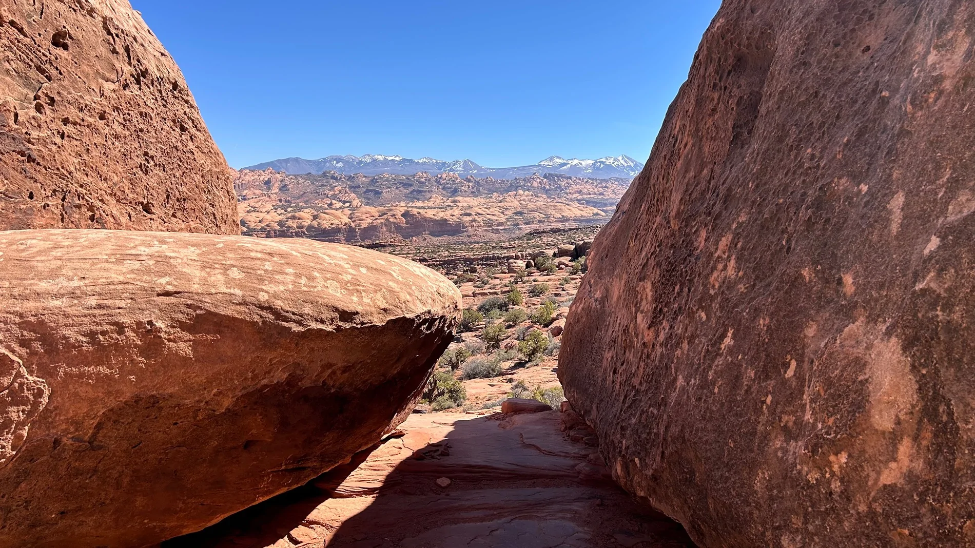2024 Tacoma What did you do TO / WITH your 4th gen Tacoma today?! 👨‍🏭 🧰 📸 IMG_3945