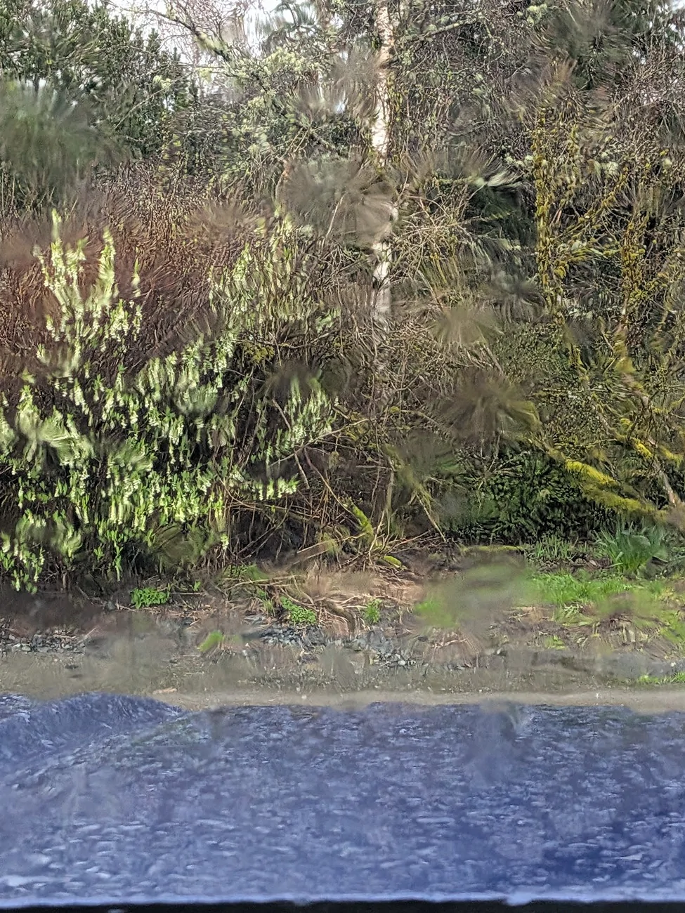 2024 Tacoma Random 2024 Tacoma 4th Gen Photos of the Day - Post Yours! 📸 🤳 2238