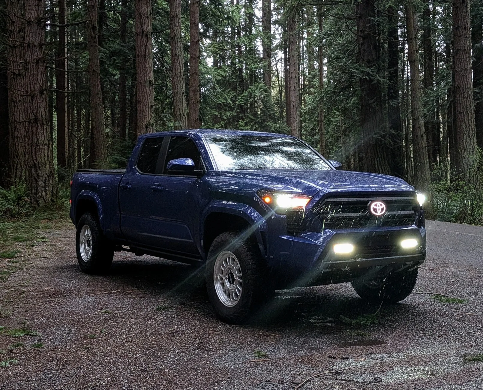 2024 Tacoma Random 2024 Tacoma 4th Gen Photos of the Day - Post Yours! 📸 🤳 2236