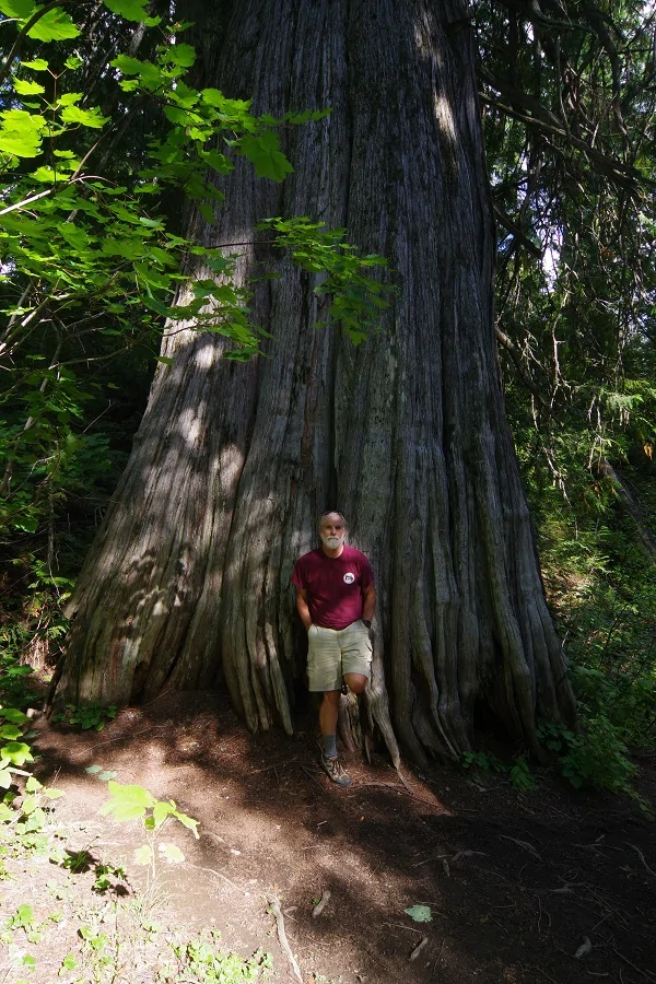 2024 Tacoma What did you do TO / WITH your 4th gen Tacoma today?! 👨‍🏭 🧰 📸 Old Growth-sm