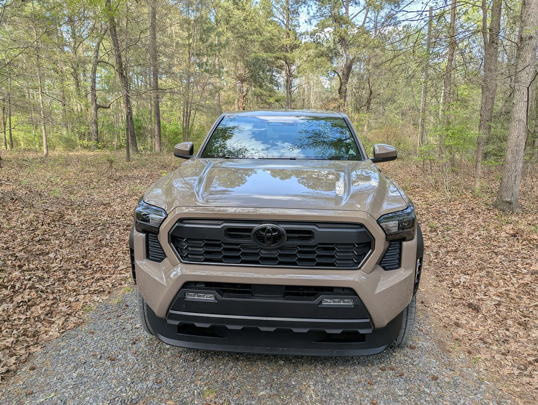 2024 Tacoma MUDBATH 2025 Tacoma Thread (4th Gen) PXL_20260401_201954045