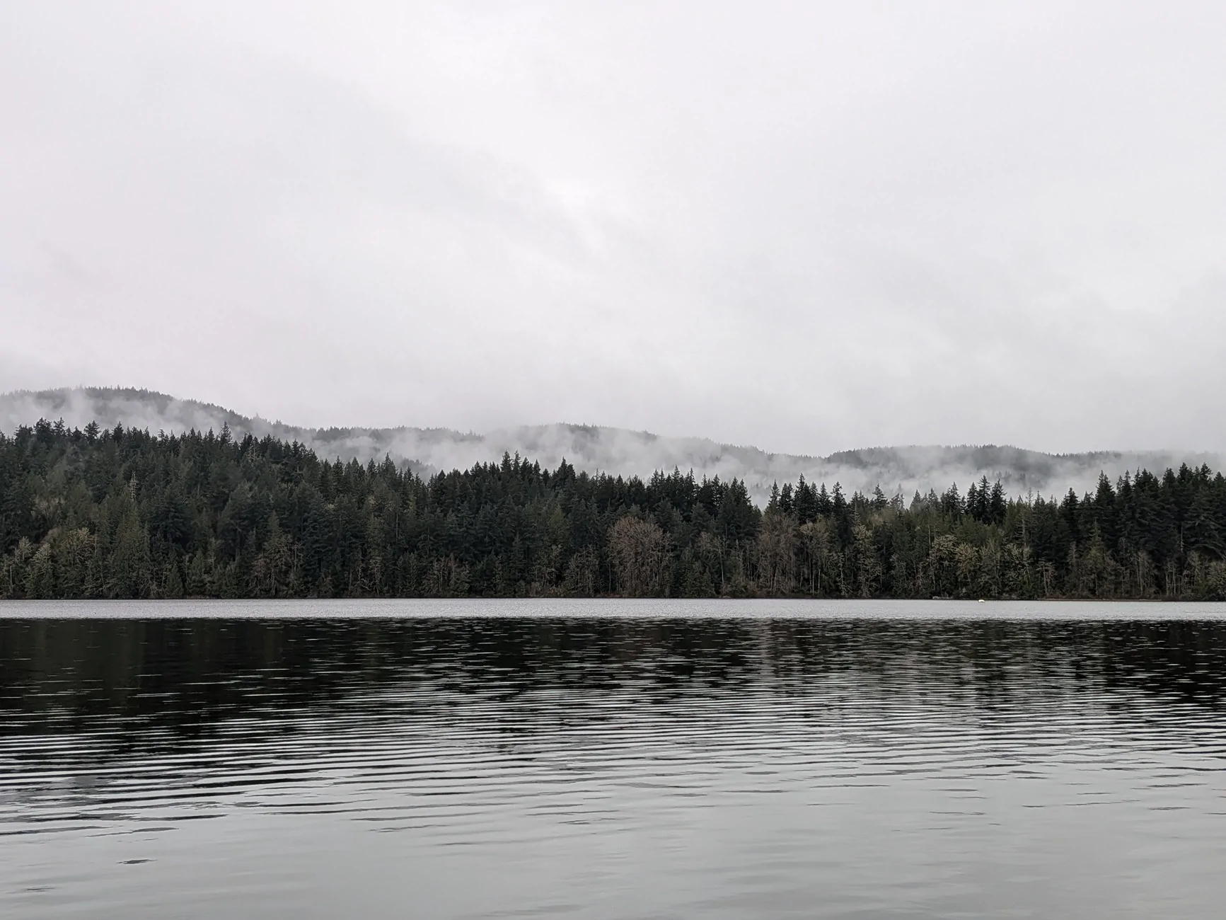 2024 Tacoma Random 2024 Tacoma 4th Gen Photos of the Day - Post Yours! 📸 🤳 PXL_20260402_162619596.MP