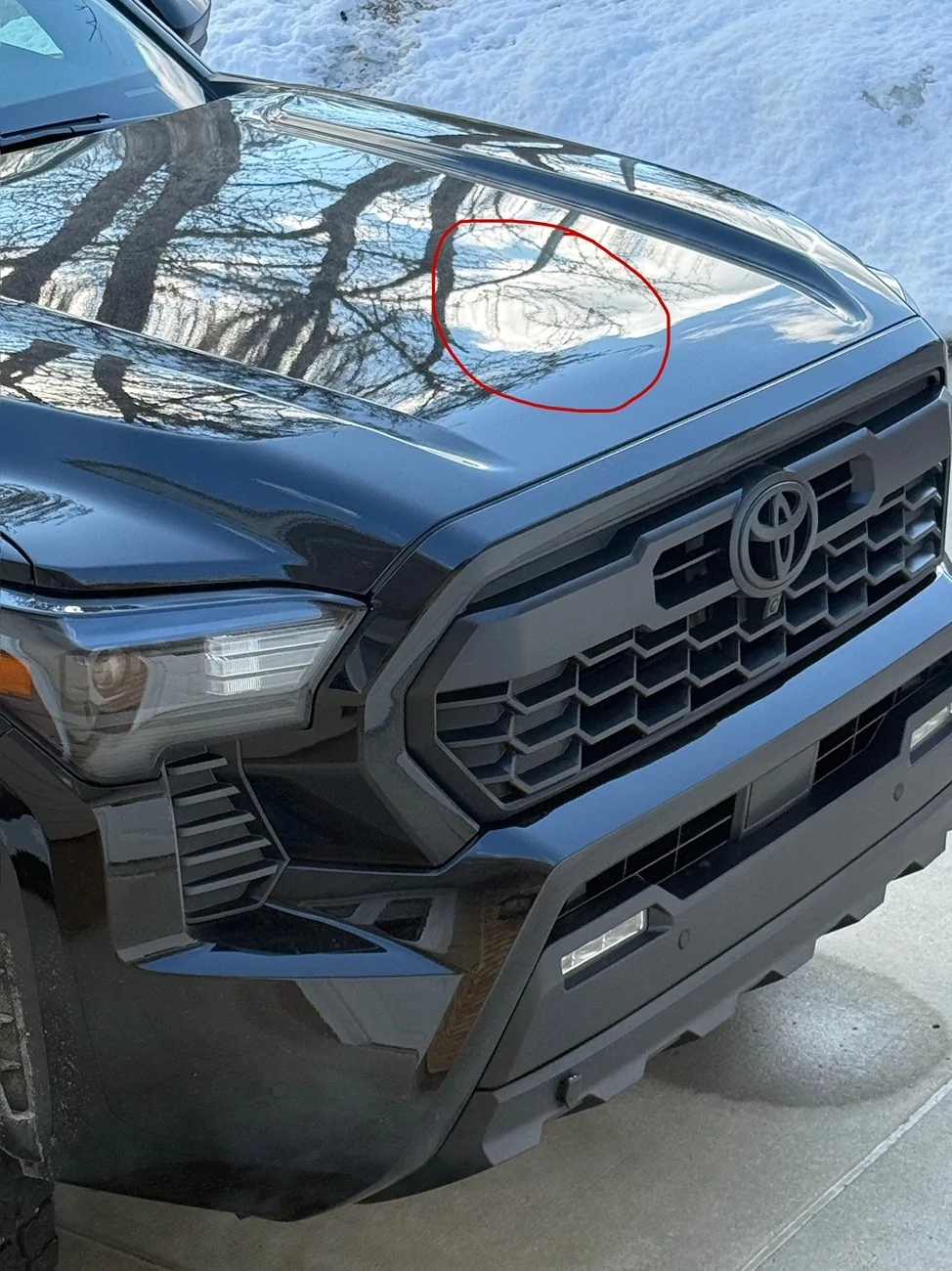 2024 Tacoma Divet in non-scoop hood…from new/factory IMG_8211
