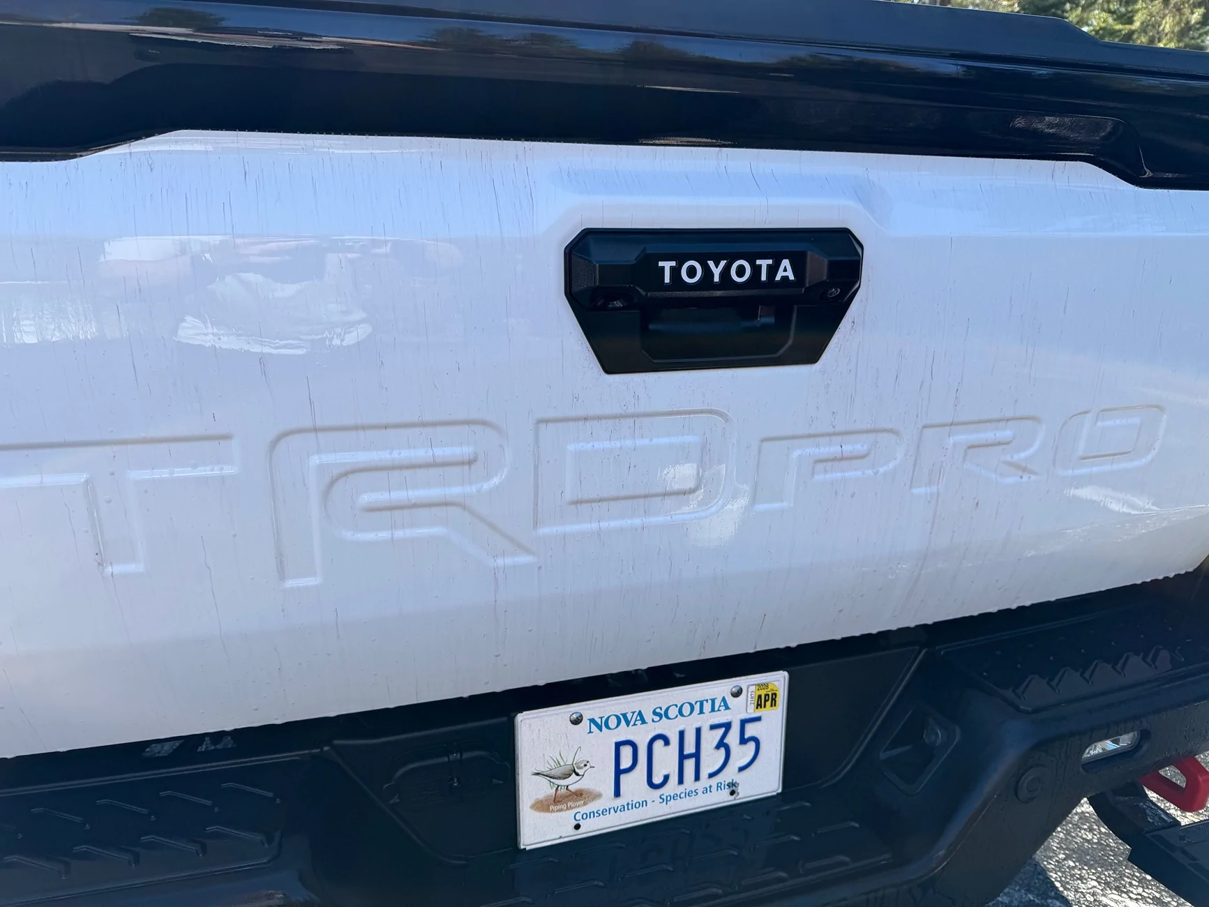 2024 Tacoma What did you do TO / WITH your 4th gen Tacoma today?! 👨‍🏭 🧰 📸 IMG_1055