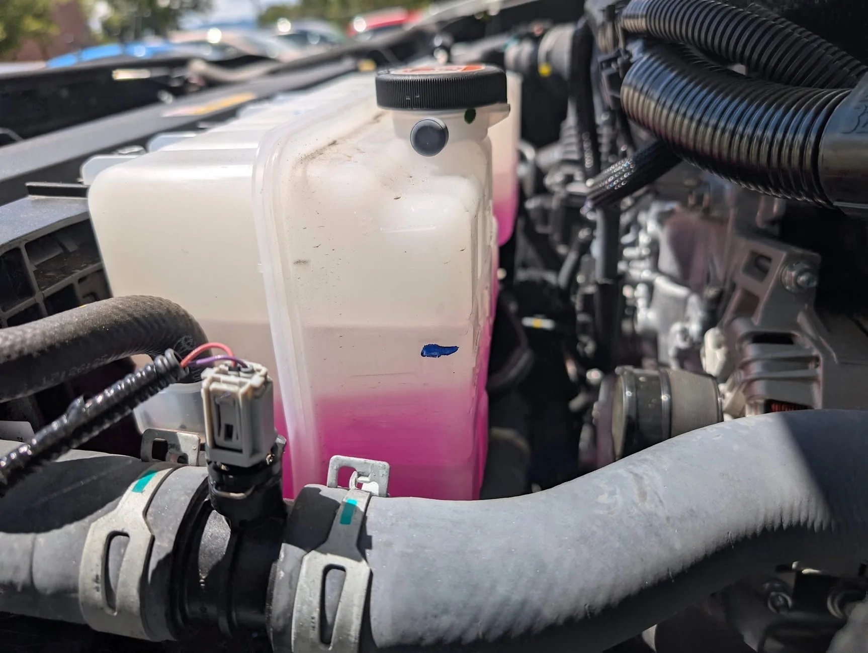 2024 Tacoma Is your Tacoma consuming coolant? IMG_3168