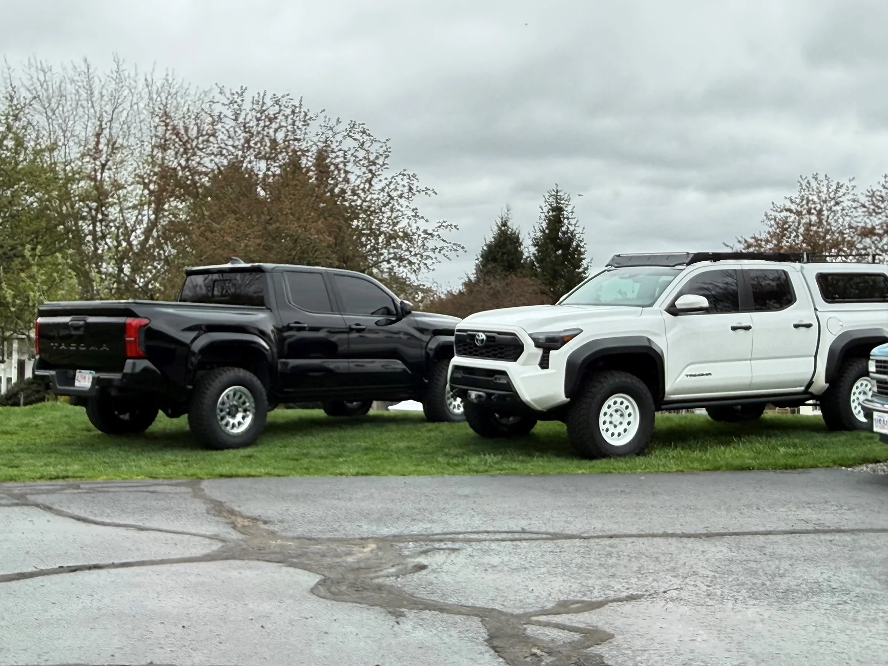 2024 Tacoma Random 2024 Tacoma 4th Gen Photos of the Day - Post Yours! 📸 🤳 55555