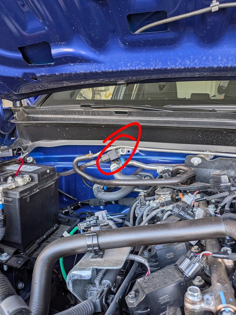 2024 Tacoma Cali raised dual switch backlight. And relay location. PXL_20260420_231832965~2