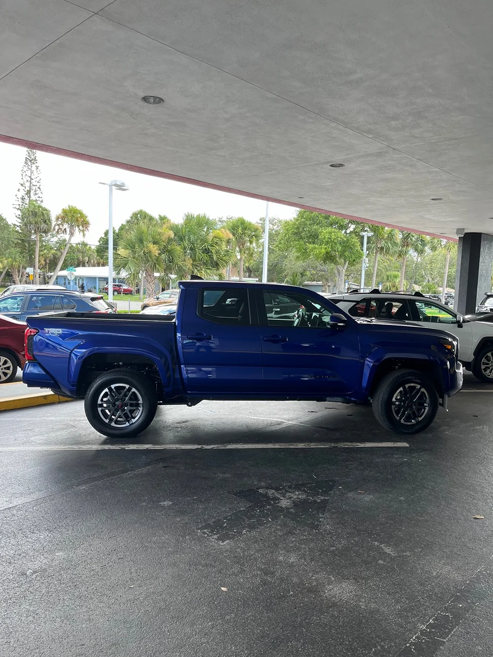 2024 Tacoma How far did you go to pick up your 4th Gen Tacoma? IMG_7915 copy 2 2
