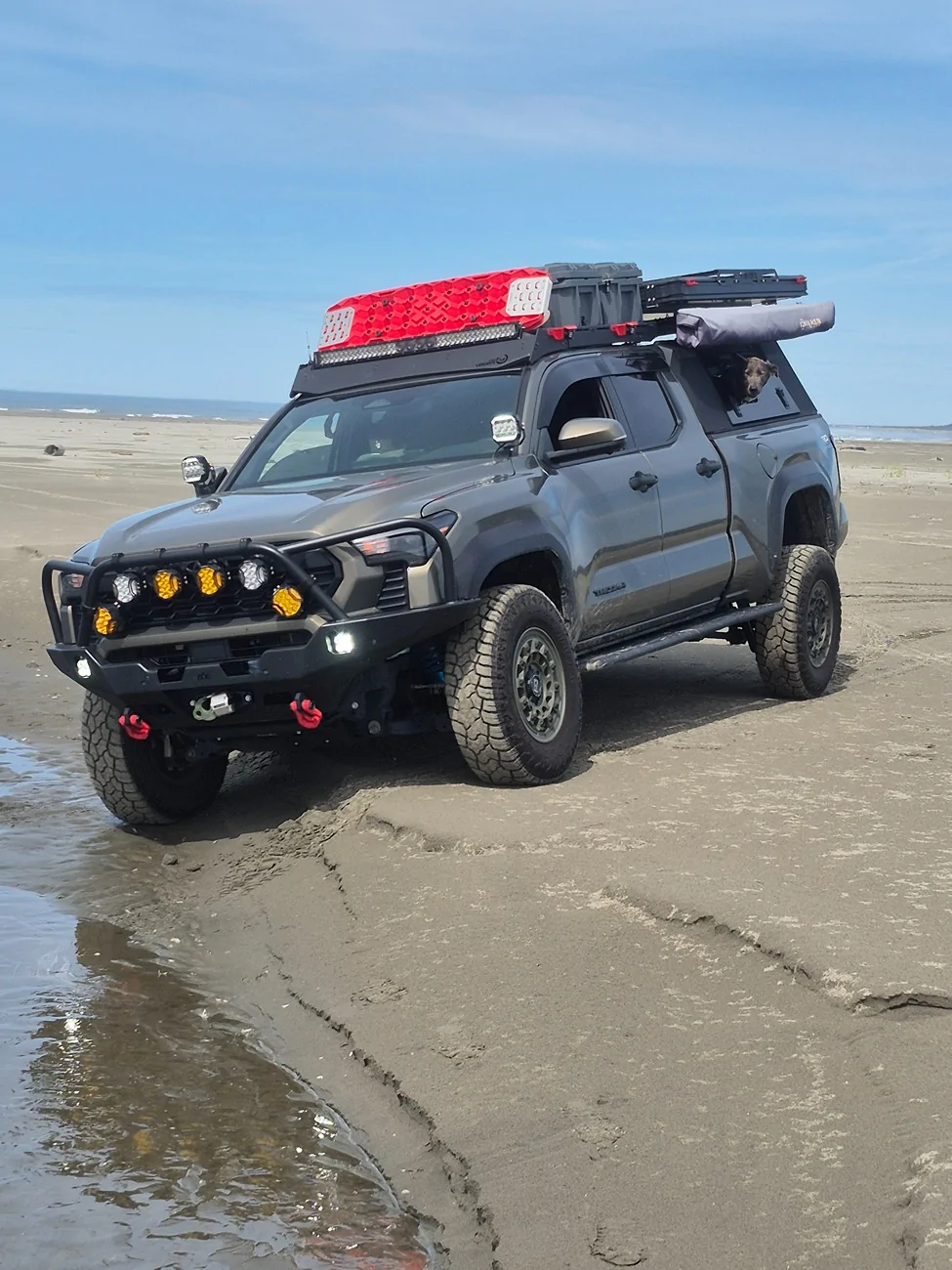2024 Tacoma Where Did Your Car Take You This Spring? Drop Your Best Photo 20260419_131955