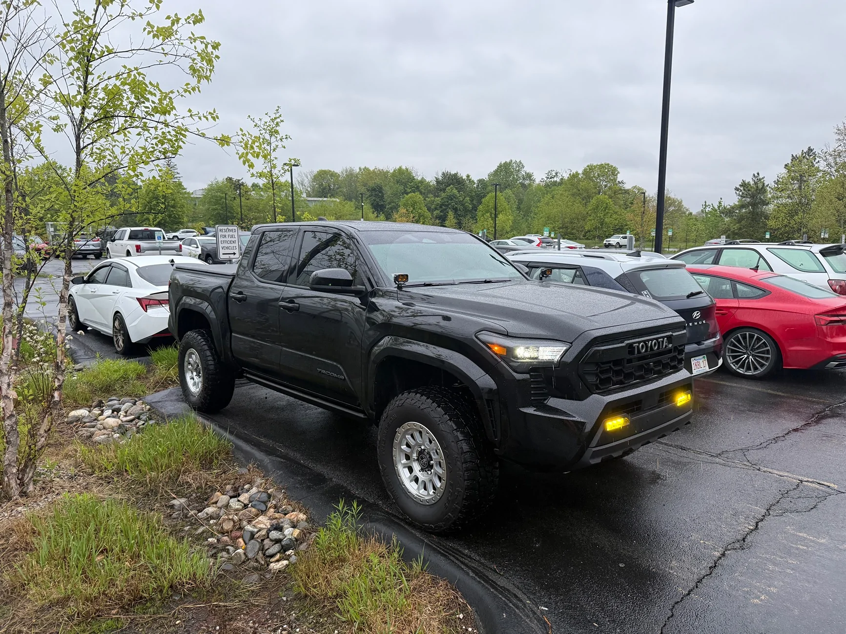 2024 Tacoma Random 2024 Tacoma 4th Gen Photos of the Day - Post Yours! 📸 🤳 IMG_3912