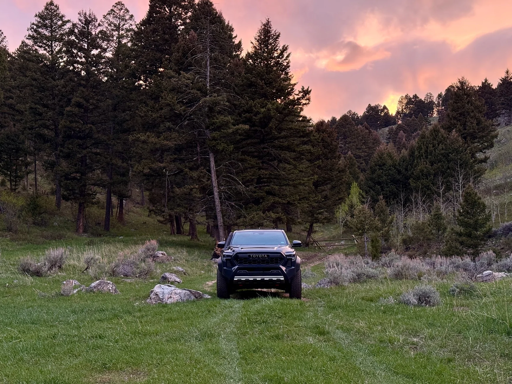 2024 Tacoma What did you do TO / WITH your 4th gen Tacoma today?! 👨‍🏭 🧰 📸 IMG_0312