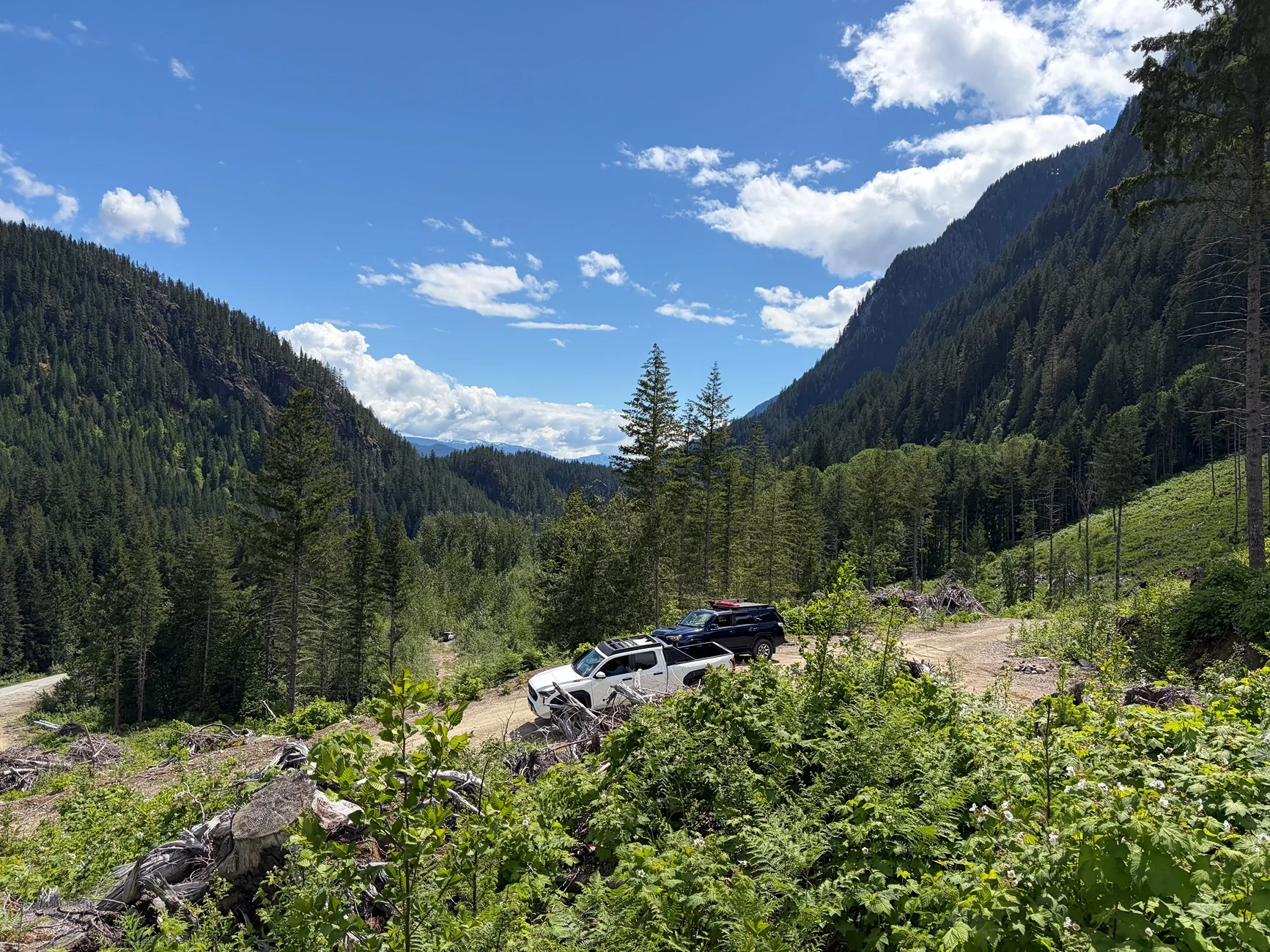 2024 Tacoma Random 2024 Tacoma 4th Gen Photos of the Day - Post Yours! 📸 🤳 1234