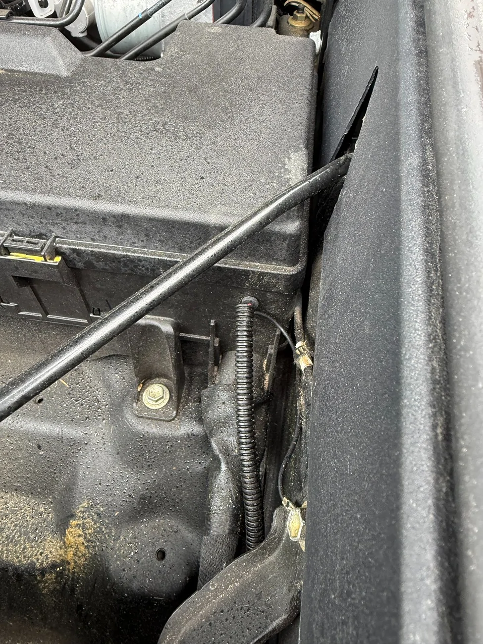 2024 Tacoma Quick question for those using an Add-A-Fuse in the engine bay fuse box. IMG_1640