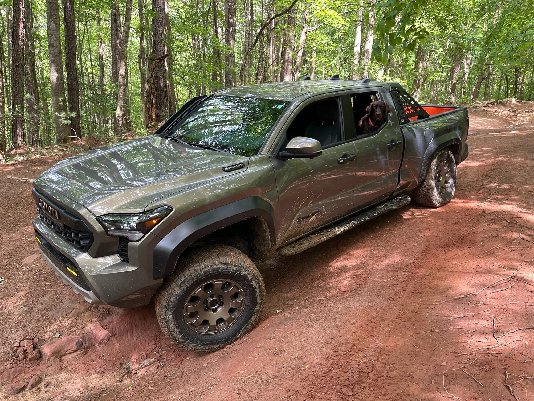 2024 Tacoma Random 2024 Tacoma 4th Gen Photos of the Day - Post Yours! 📸 🤳 IMG_7477