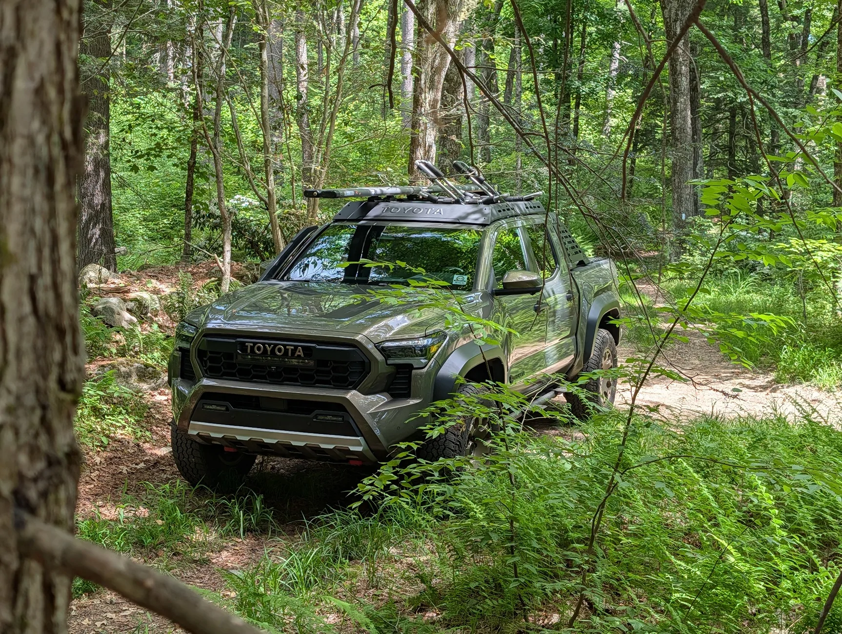 2024 Tacoma Random 2024 Tacoma 4th Gen Photos of the Day - Post Yours! 📸 🤳 PXL_20260614_151359176