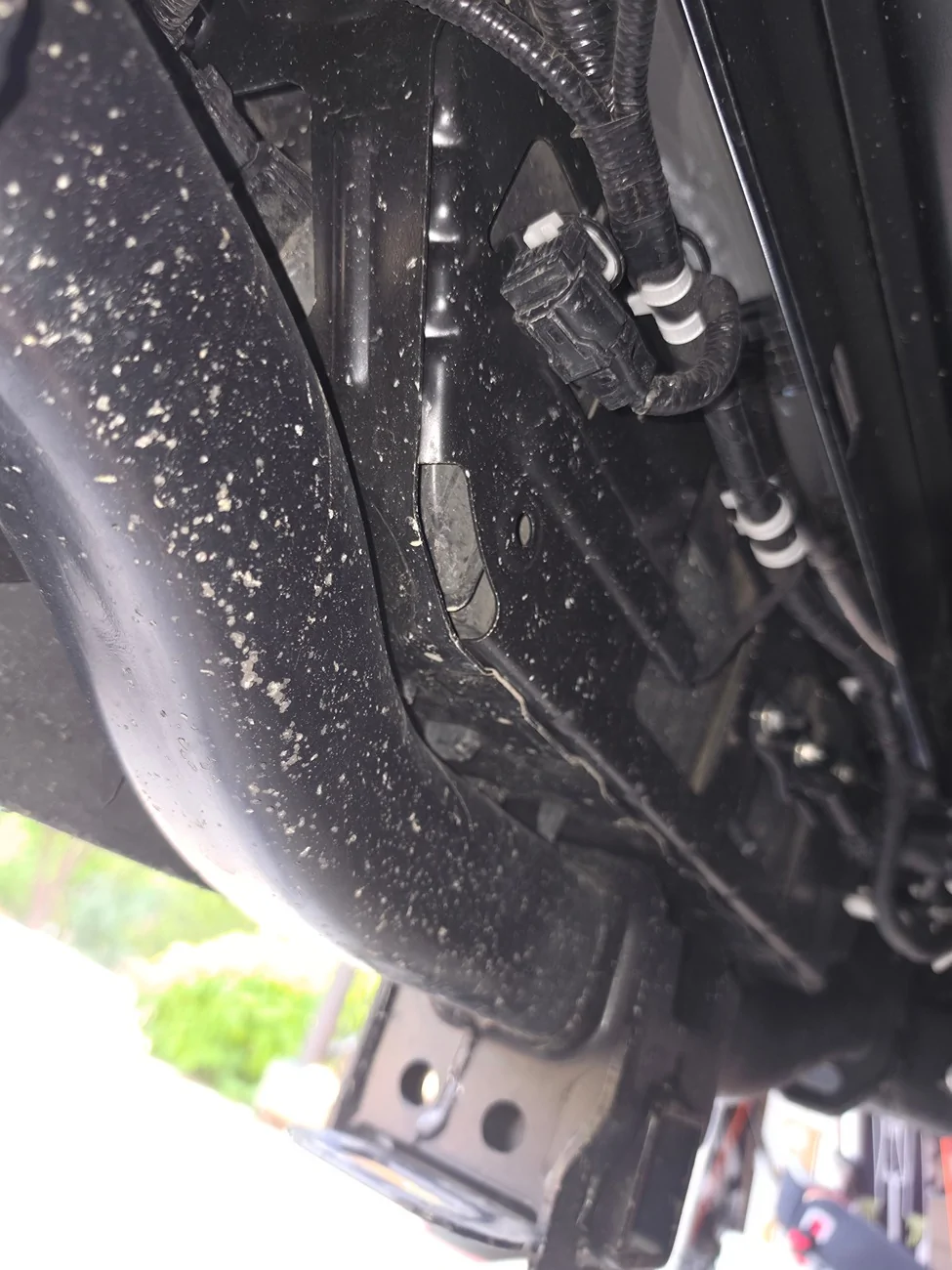 2024 Tacoma Severe Rock/ Gravel chip damage on rear shocks and frame 1747
