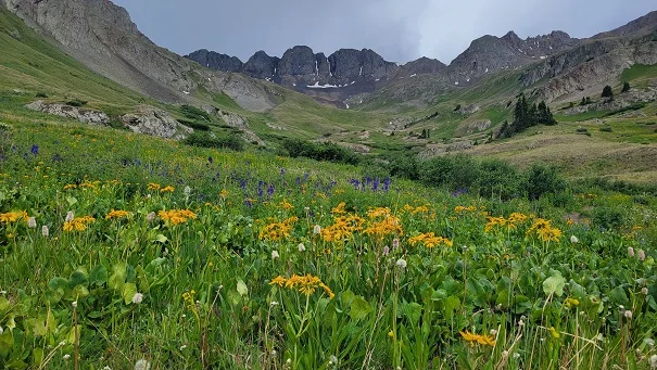 20260708_123240-sm.webp