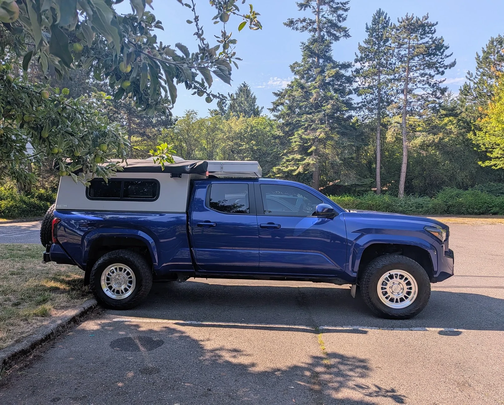 2024 Tacoma Random 2024 Tacoma 4th Gen Photos of the Day - Post Yours! 📸 🤳 5650