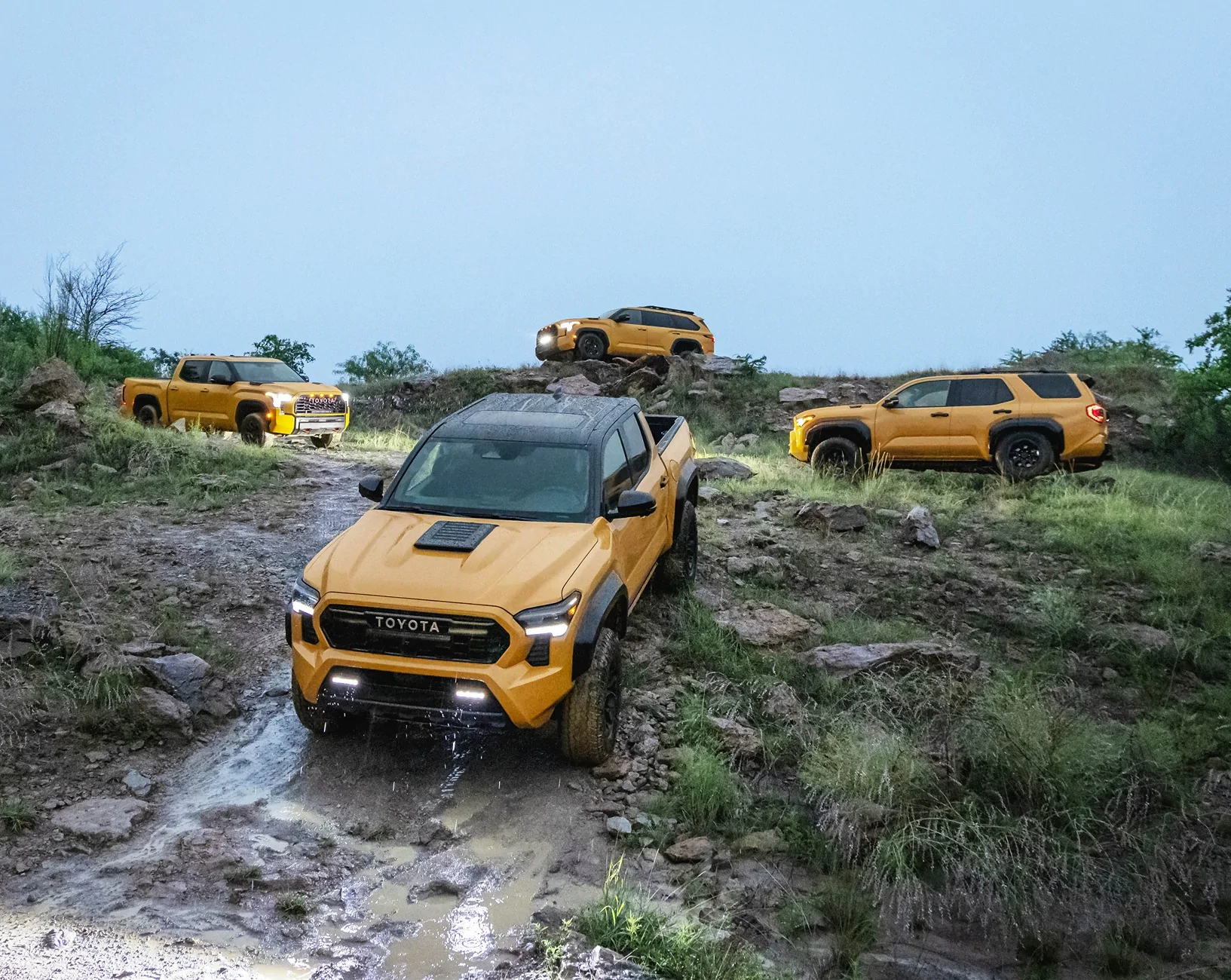 2024 Tacoma 2027 Tacoma TRD Pro in Honeycomb color -- first photos Honeycomb 2027 Tacoma TRD Pro 1