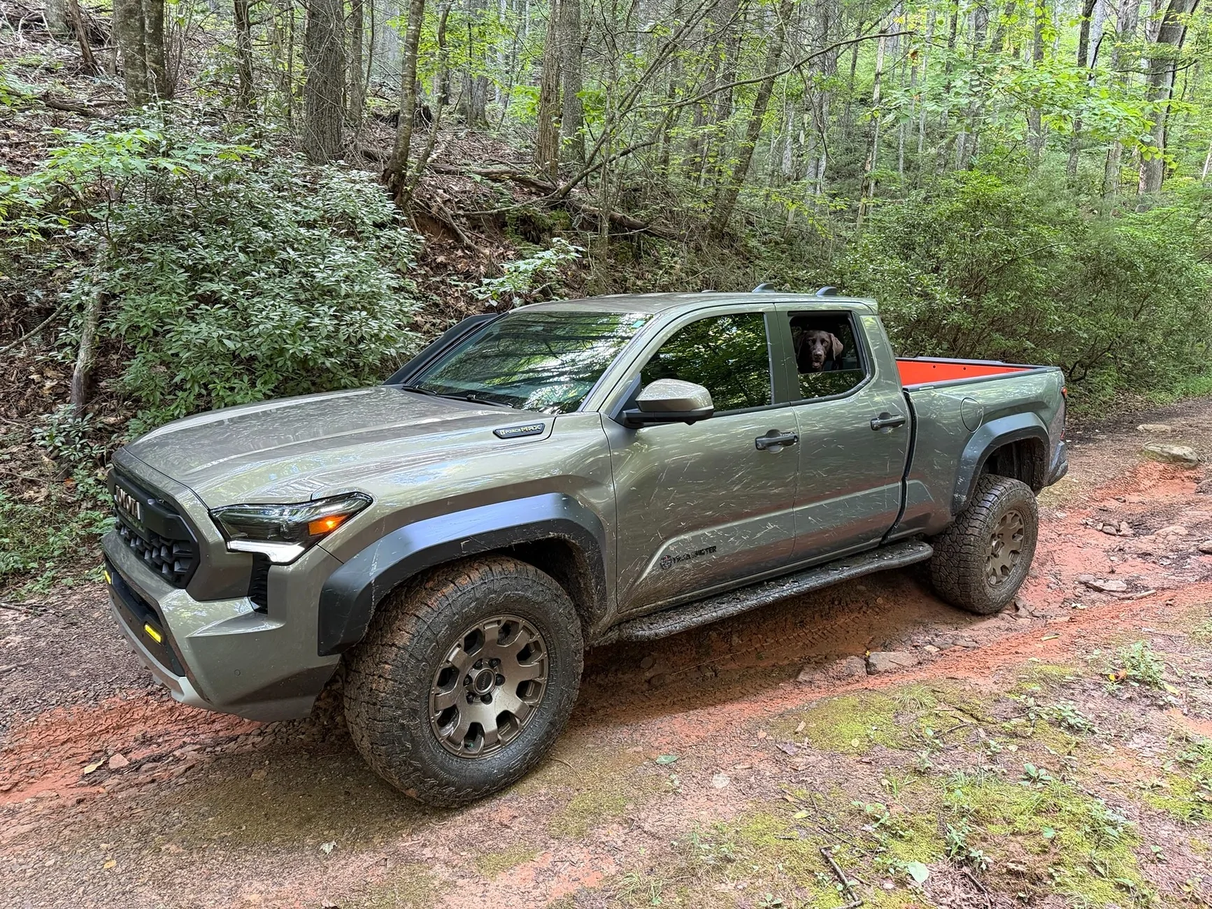 2024 Tacoma Random 2024 Tacoma 4th Gen Photos of the Day - Post Yours! 📸 🤳 IMG_7917
