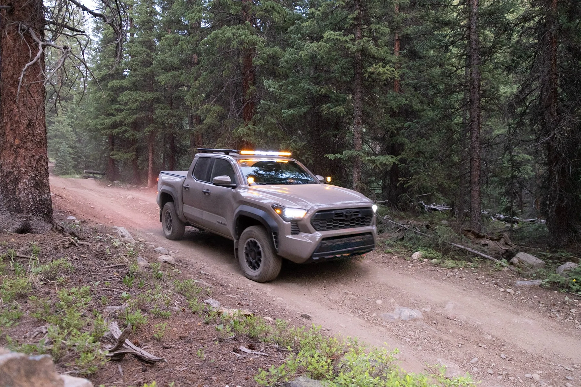 2024 Tacoma What's The Current Mileage on your 4th Gen? A77A0021
