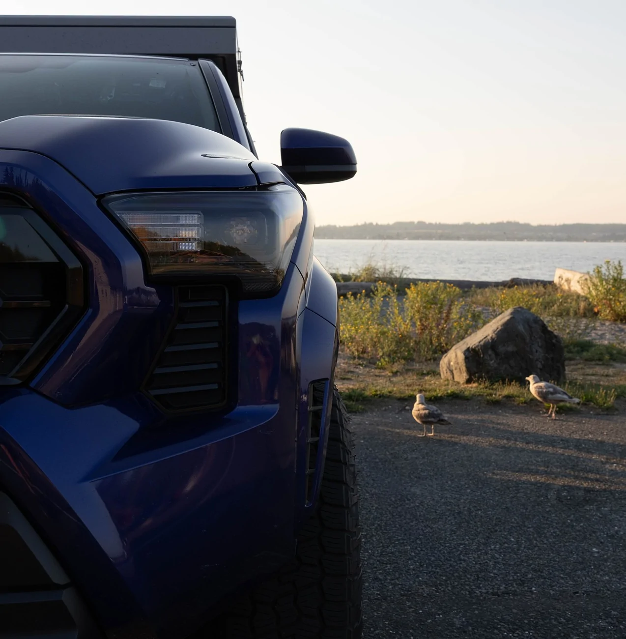 2024 Tacoma Random 2024 Tacoma 4th Gen Photos of the Day - Post Yours! 📸 🤳 6188