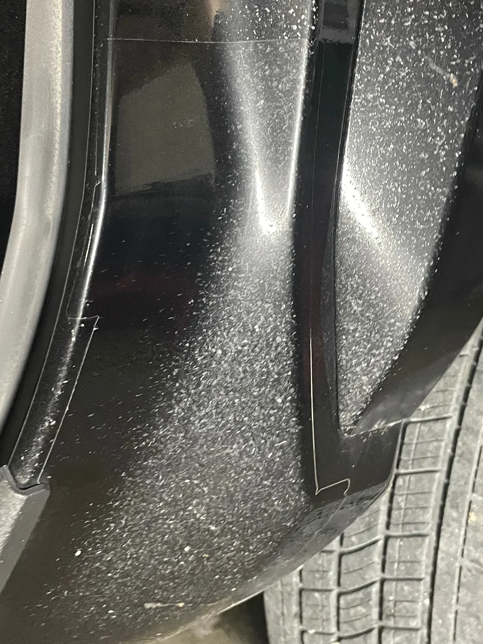 2024 Tacoma OEM-Mud Guards IMG_7220