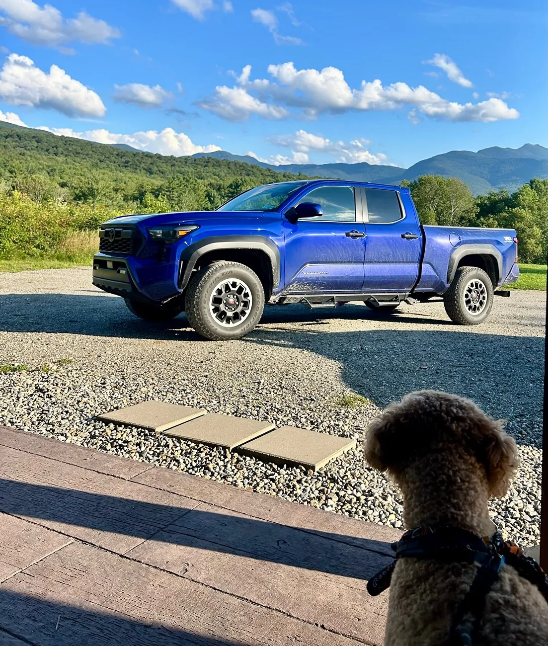 2024 Tacoma Random 2024 Tacoma 4th Gen Photos of the Day - Post Yours! 📸 🤳 IMG_0132