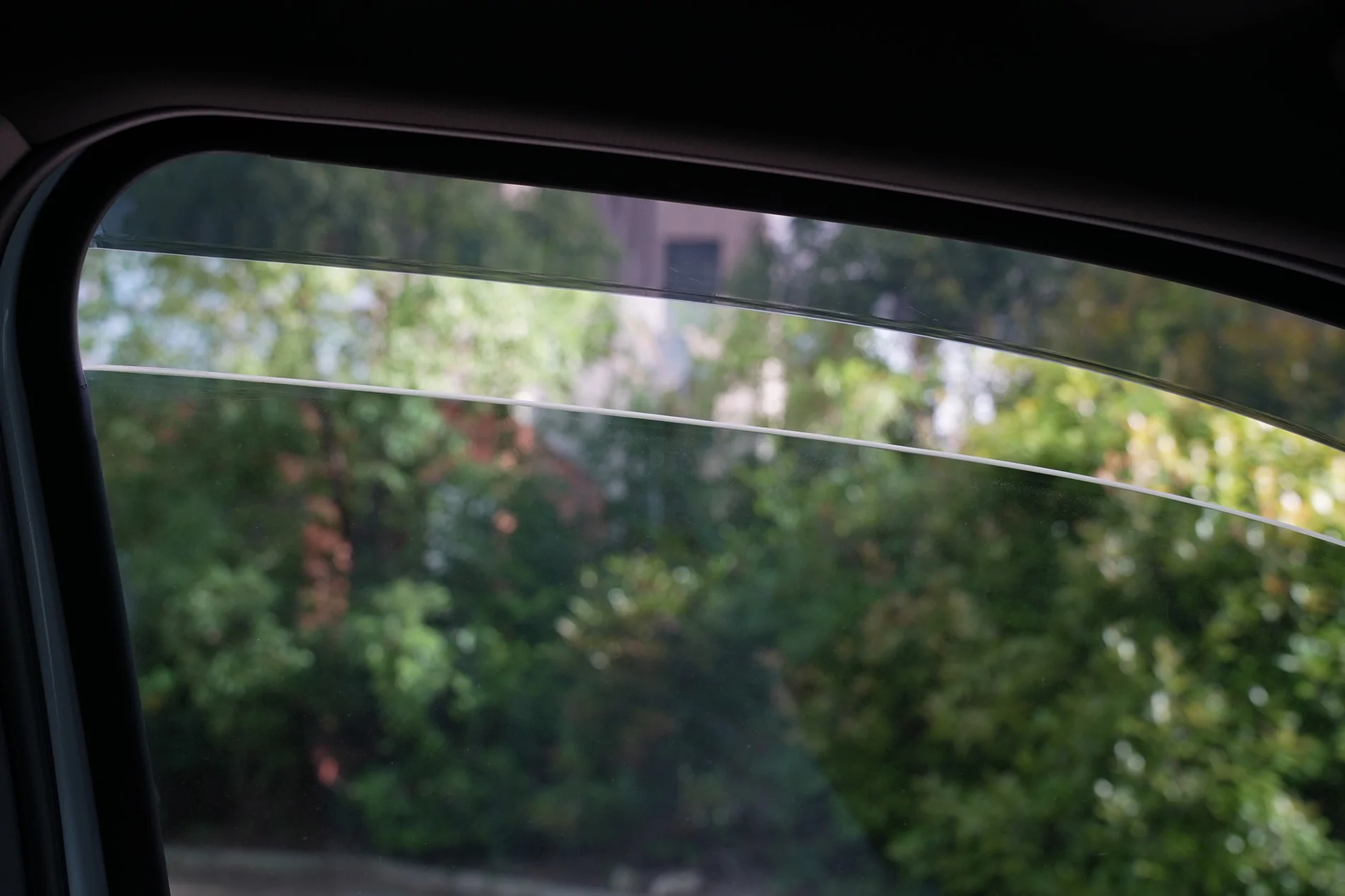 DSC06626.webp
