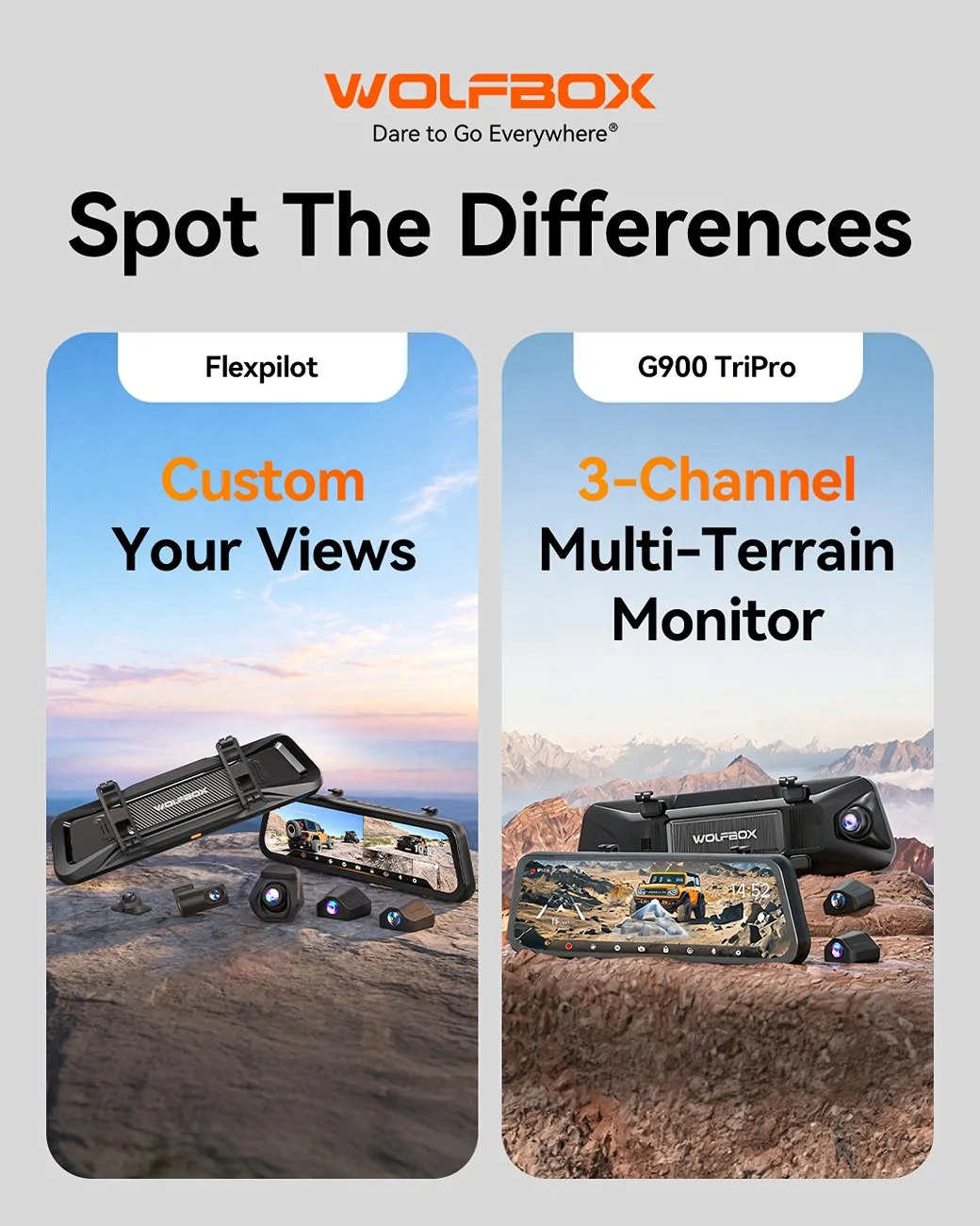 spot the difference.webp