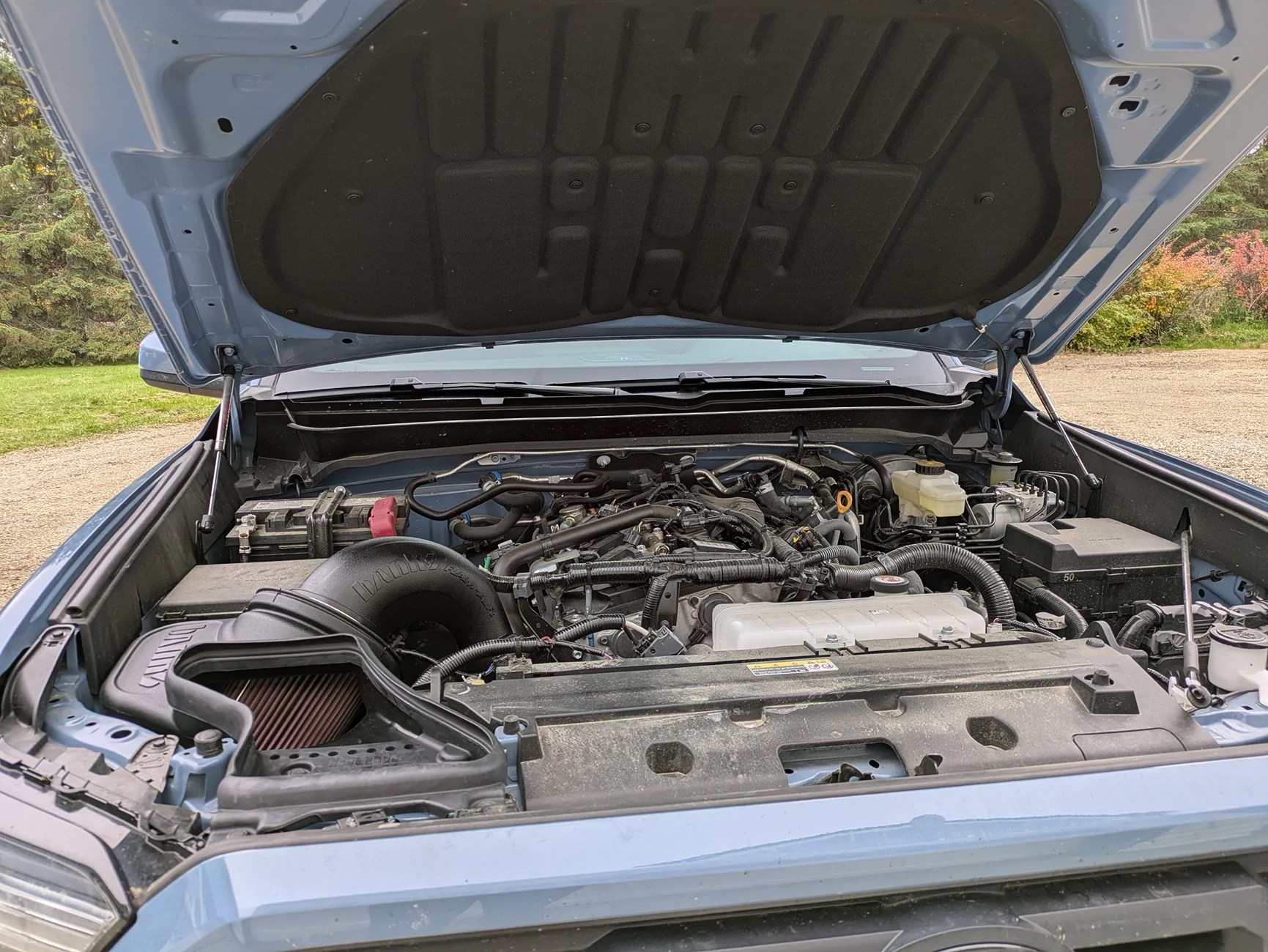 2024 Tacoma Amby's Blueberry: 2026 TRD Sport 6MT PXL_20261003_223933445
