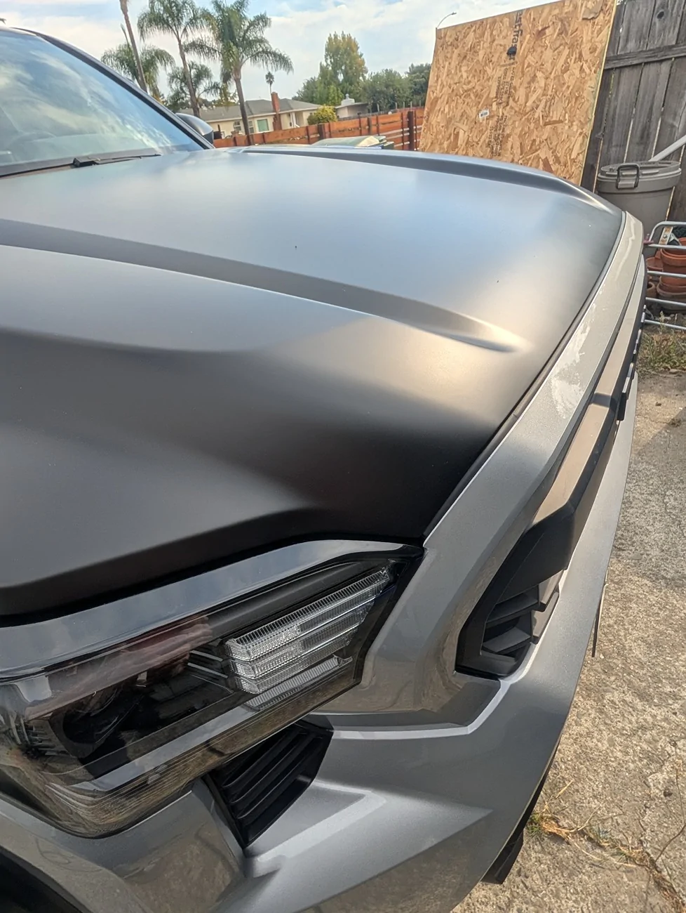 2024 Tacoma I painted my Hood what ya think ? PXL_20261004_173159891