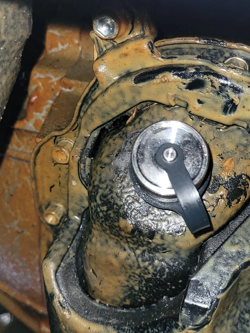 2024 Tacoma More overheating after dealership visit :( 20261014_140324