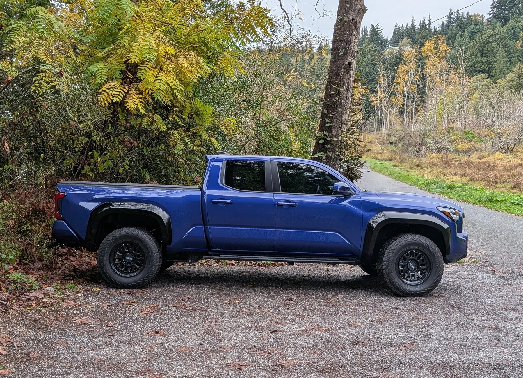 2024 Tacoma BLUE CRUSH 2024 Tacoma Thread (4th Gen) 8585