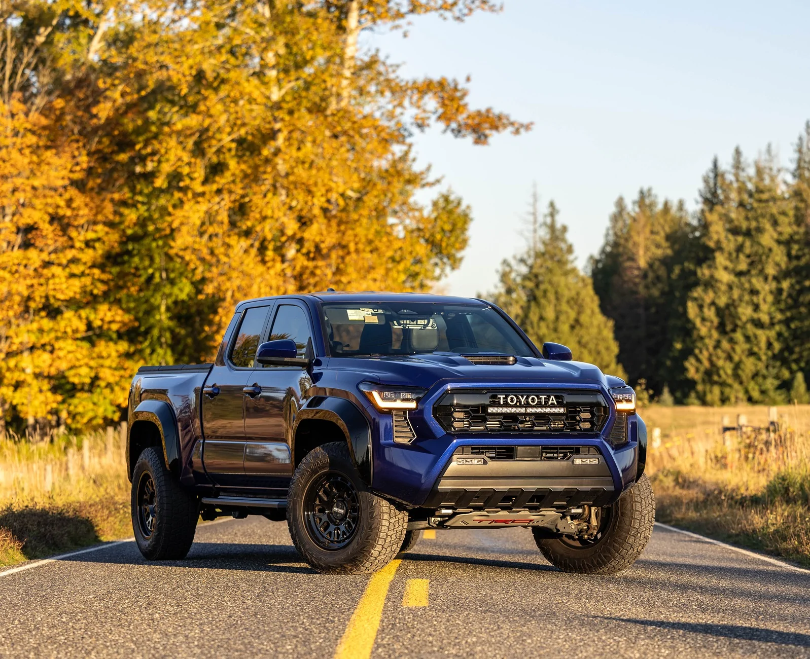 2024 Tacoma BLUE CRUSH 2024 Tacoma Thread (4th Gen) 8496