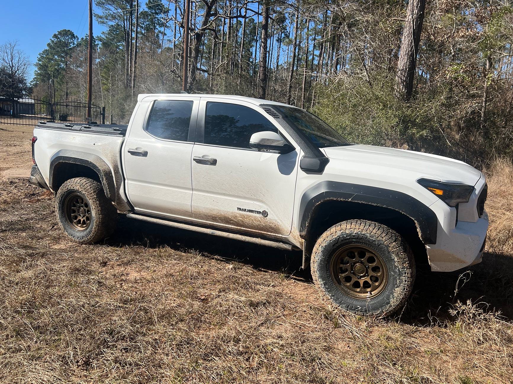 2024 Tacoma Thoughts on this color combo for wheels? IMG_8379