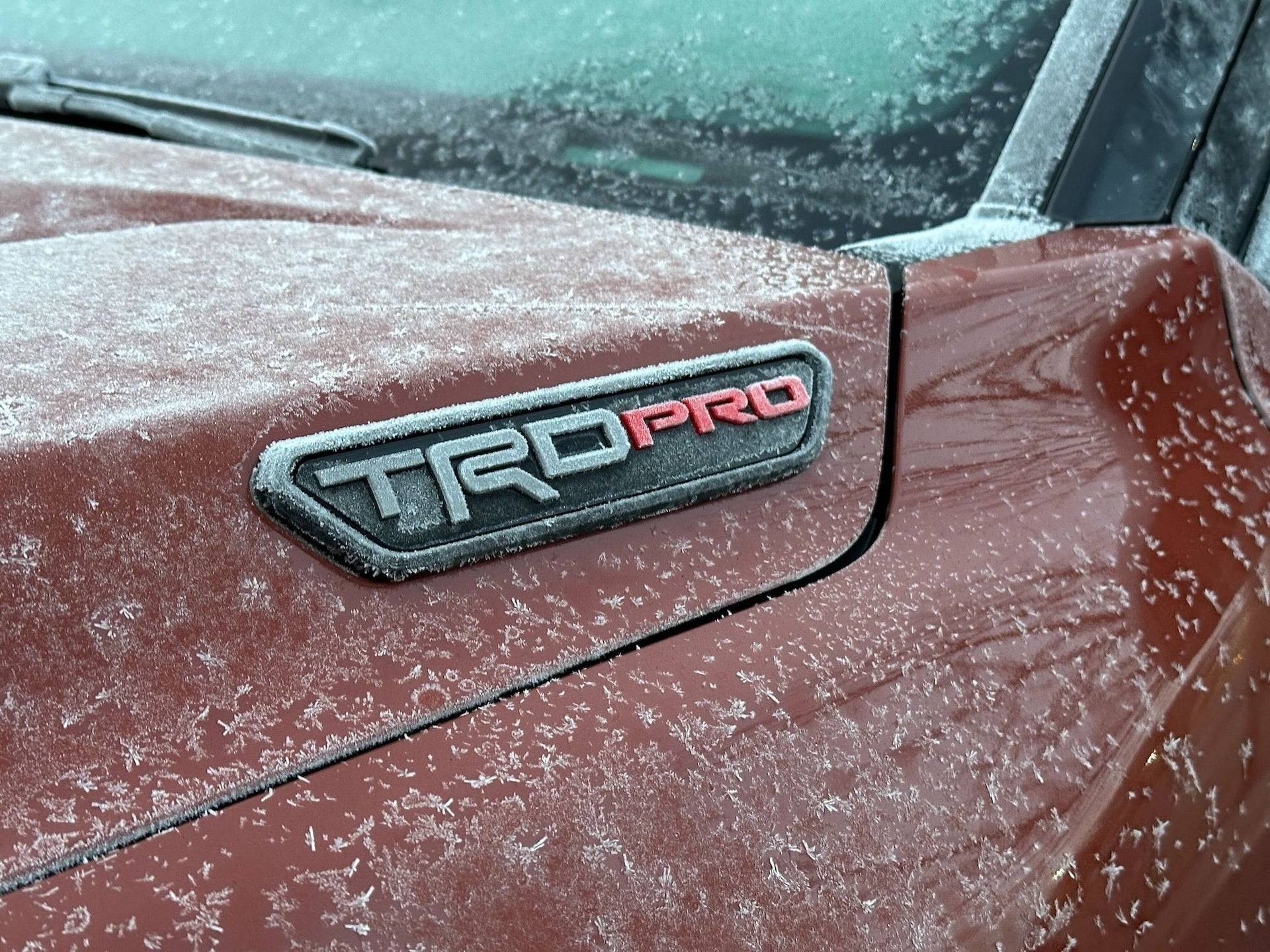 2024 Tacoma TERRA 2024 Tacoma Thread (4th Gen) 2024 Tacoma TRD Pro Terra and Trailhunter Bronze oxide side by side 11
