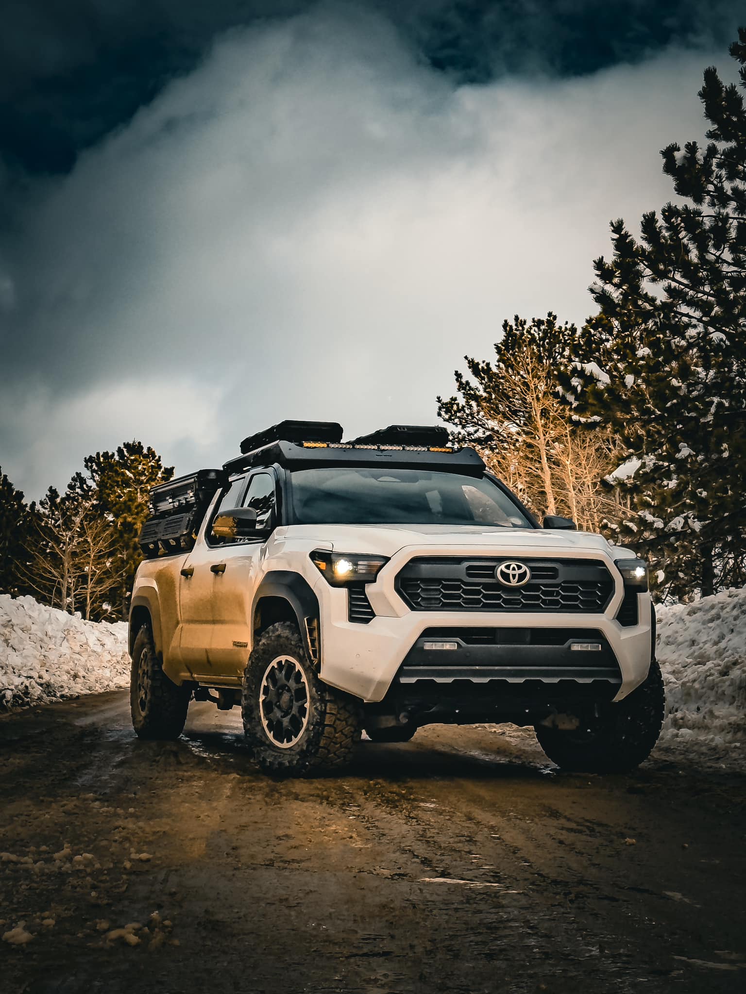 2024 Tacoma ICE CAP 2024 Tacoma Thread (4th Gen) 433633617_122136272894094434_6143437550277312135_n