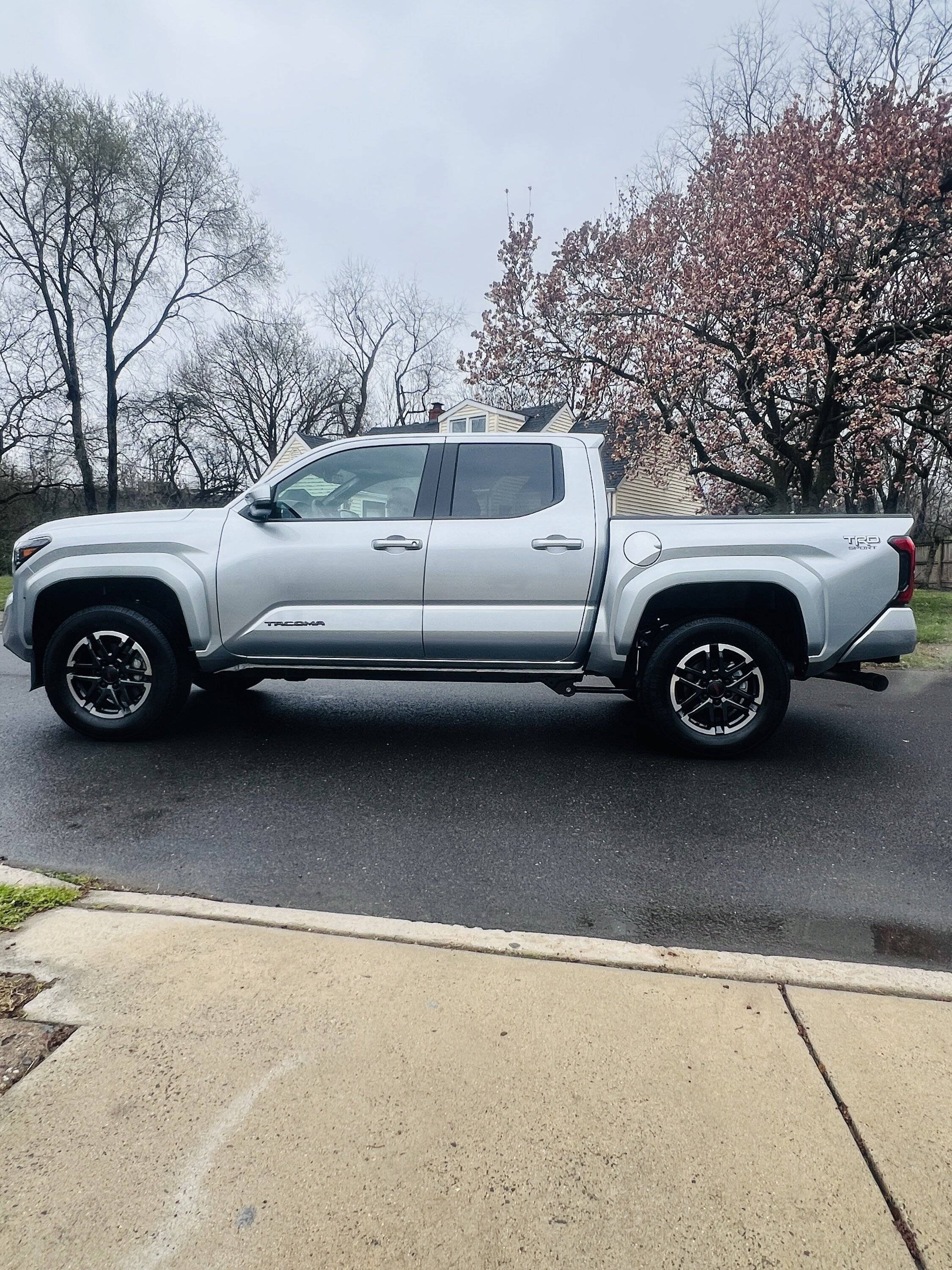 2024 Tacoma CELESTIAL SILVER METALLIC 2024 Tacoma Thread (4th Gen) IMG_5644