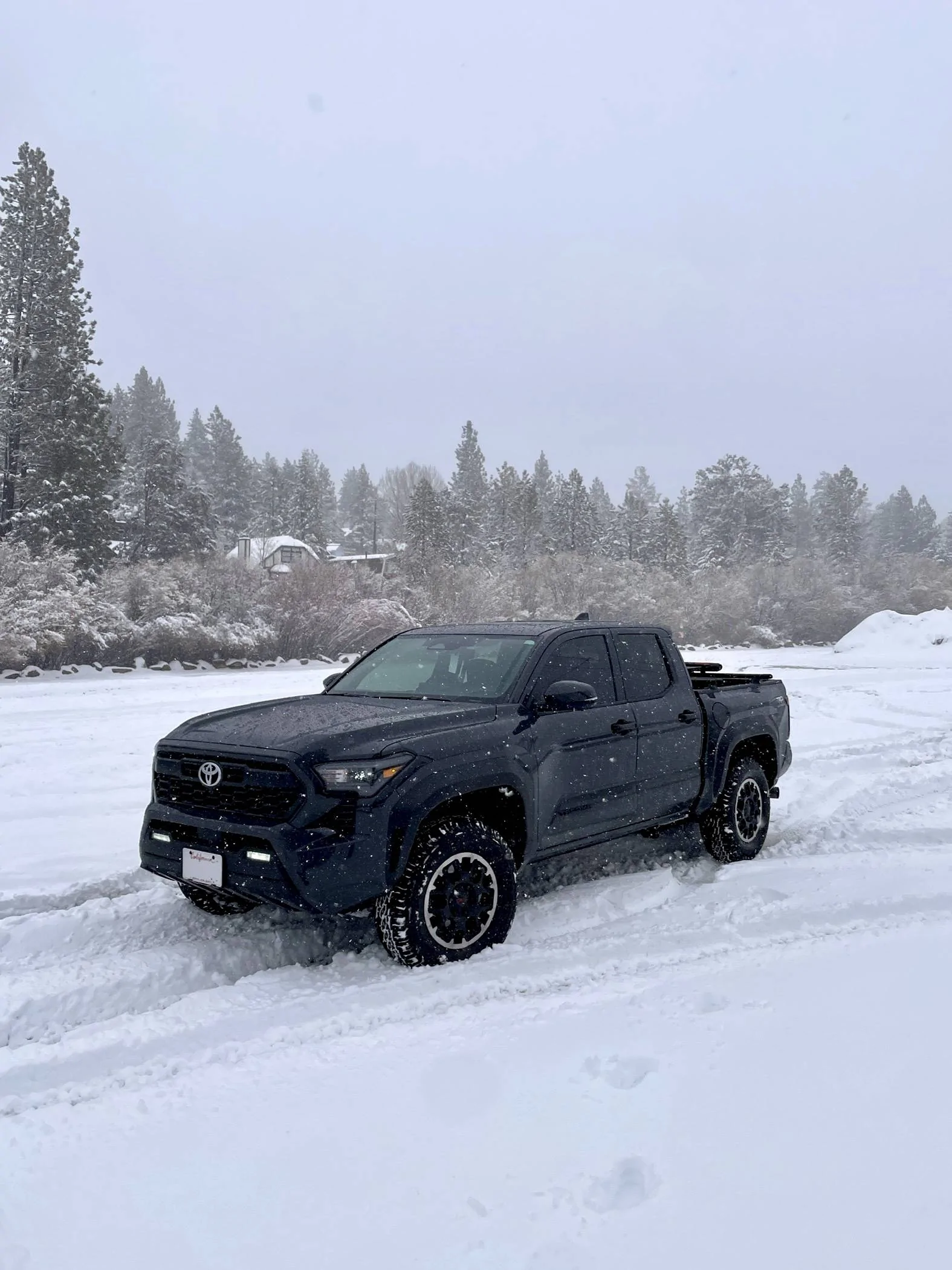 2024 Tacoma Random 2024 Tacoma 4th Gen Photos of the Day - Post Yours! 📸 🤳 A13EE2B9-54A8-4150-BE31-637564BD9C7A