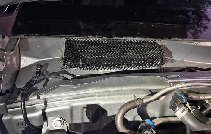 Rodent Screen Installation