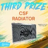 3rd prize.webp