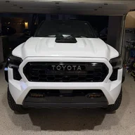 daytonaviolet