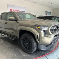 Bronze.trd24