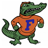Go_Gata