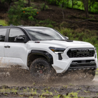 TOOTHLESS_TACOMA